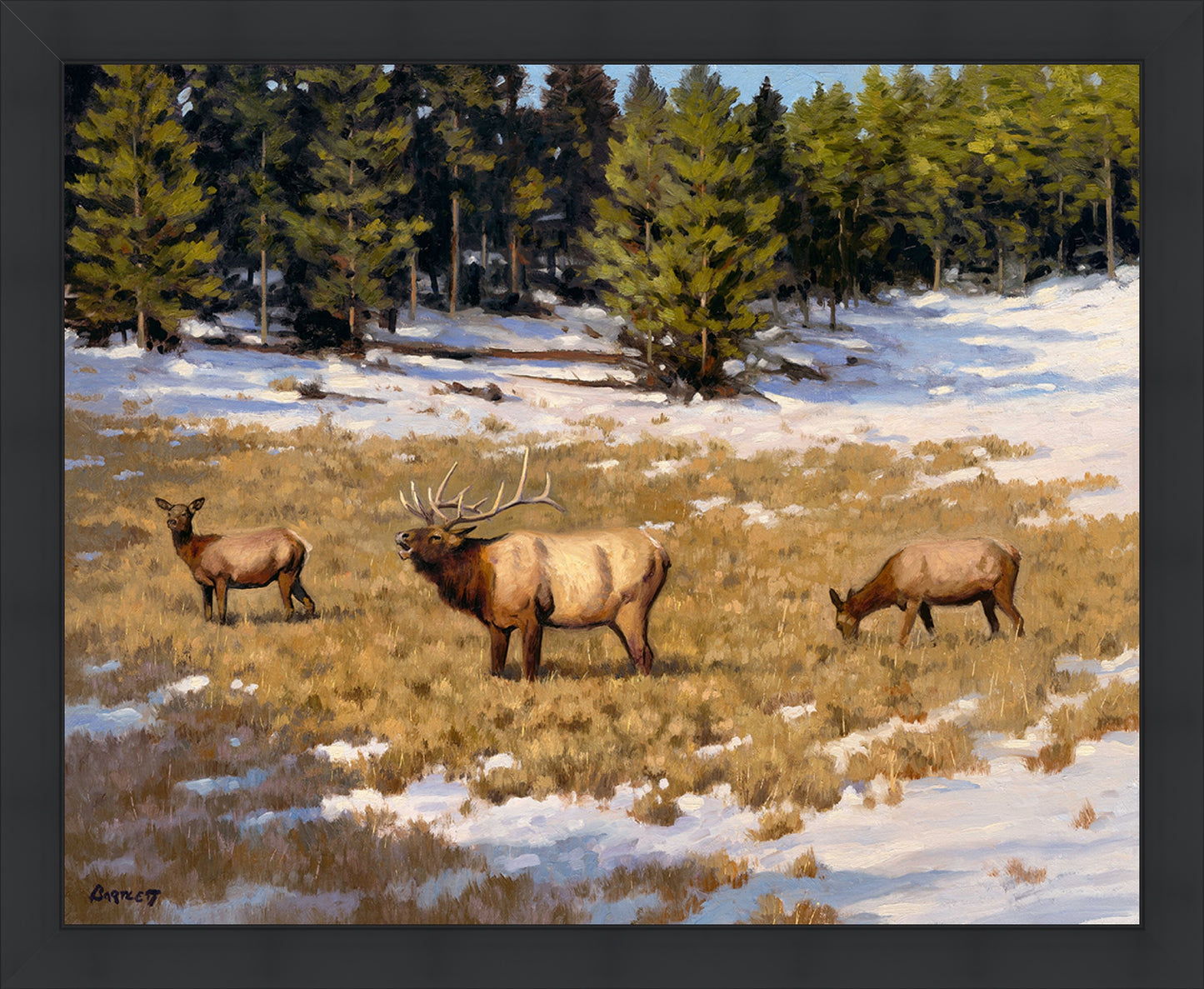 Elk