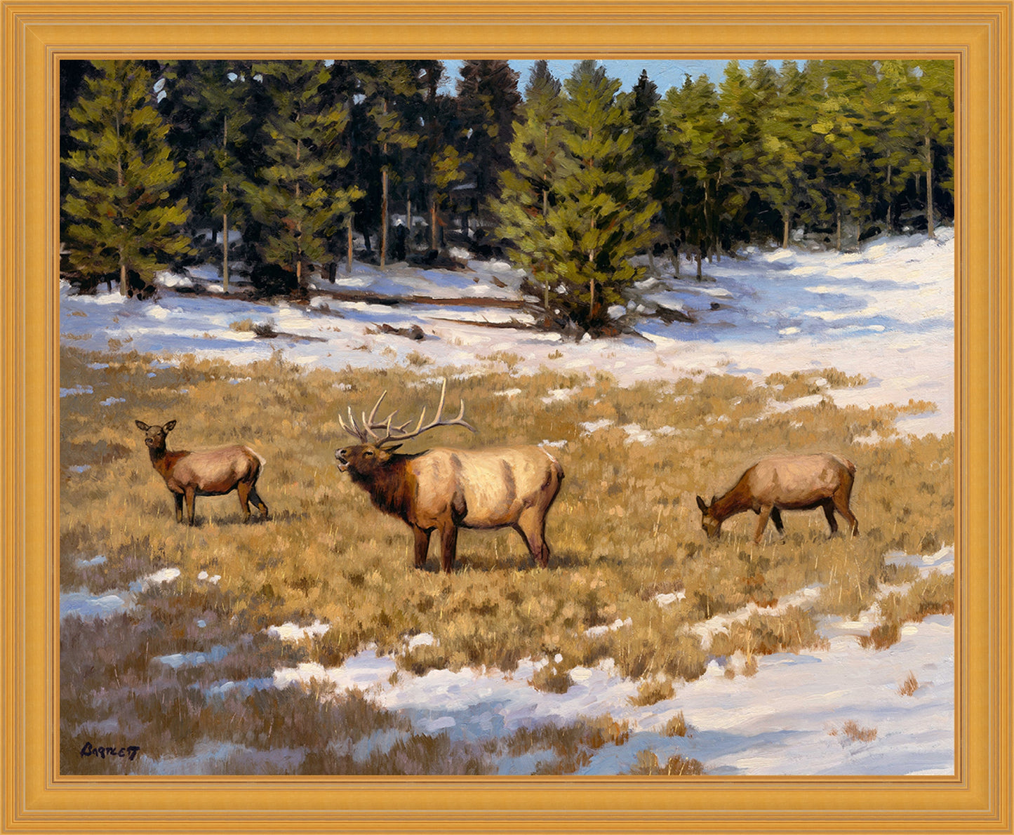 Elk