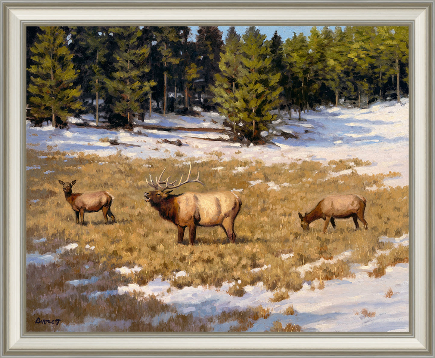 Elk