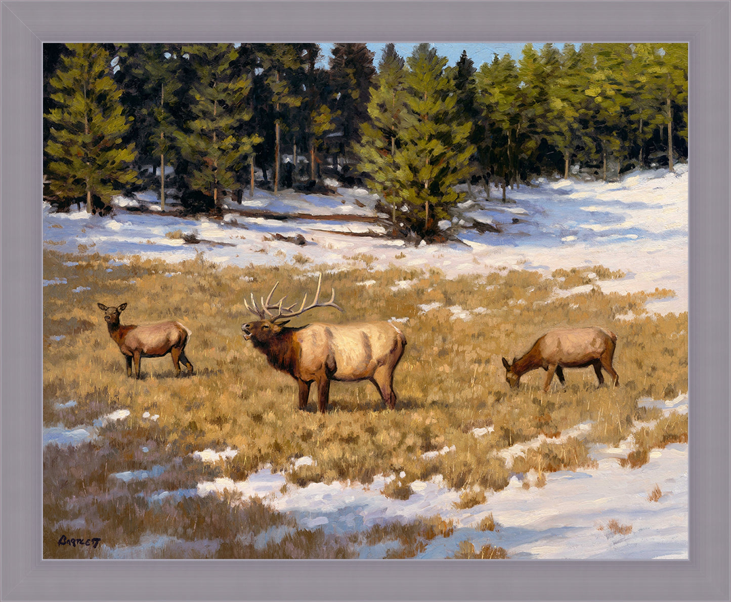 Elk
