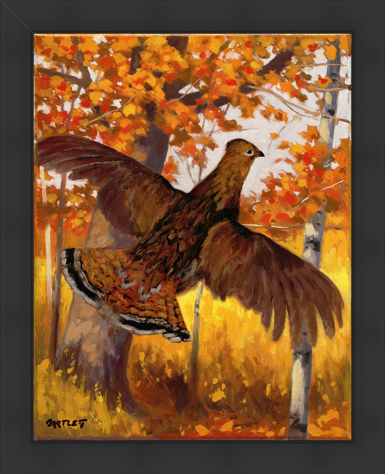 Grouse