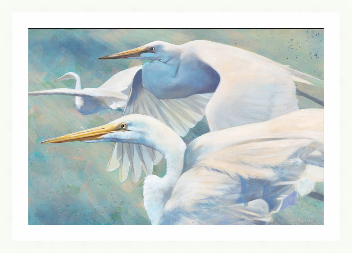 Heron Trio | Fine Art Print by Hilary Archer