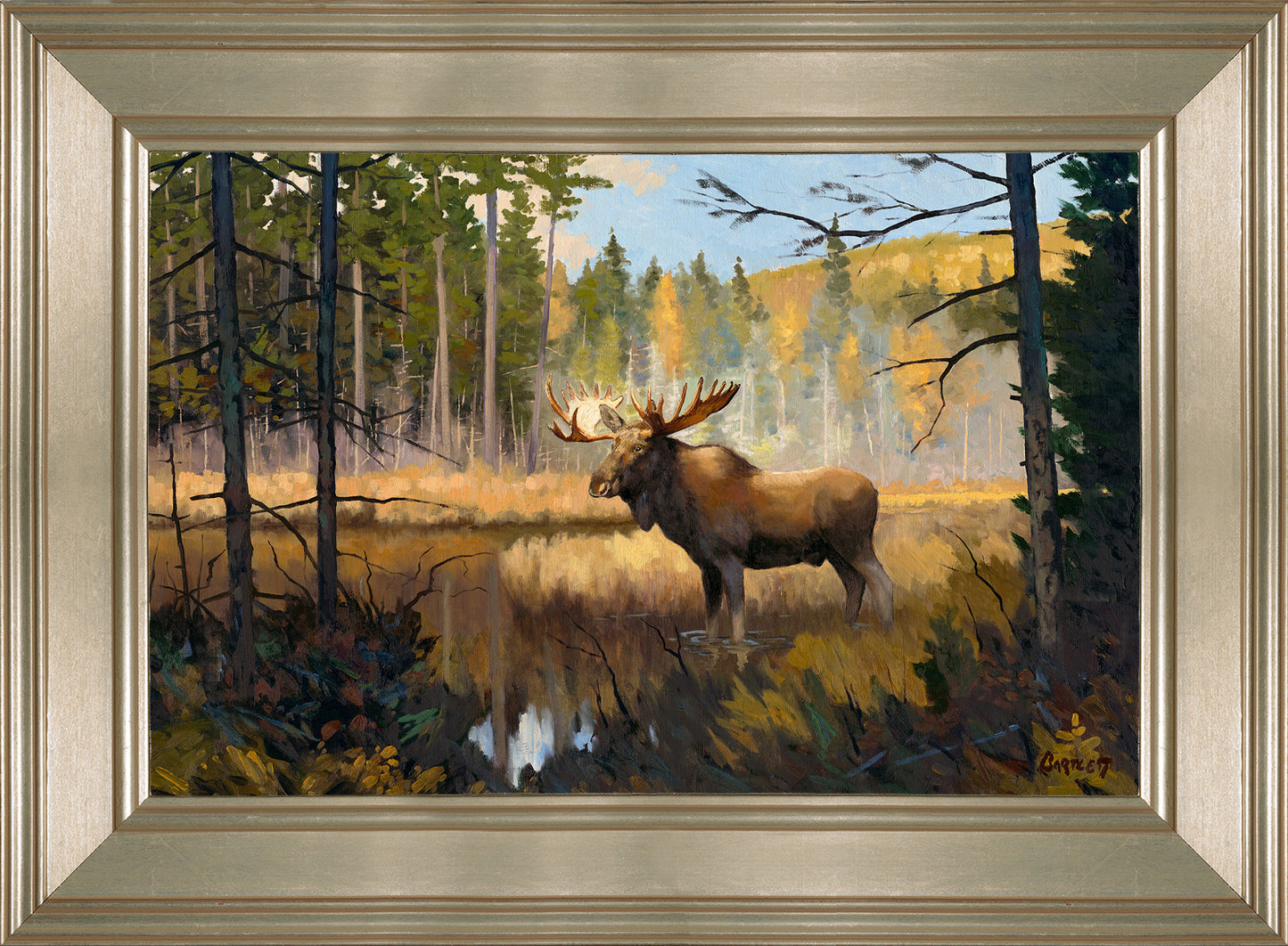 Moose in Woods