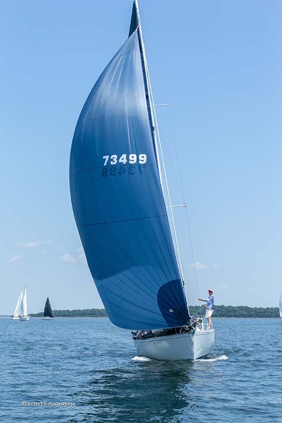 13 | 73499