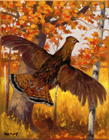 Grouse