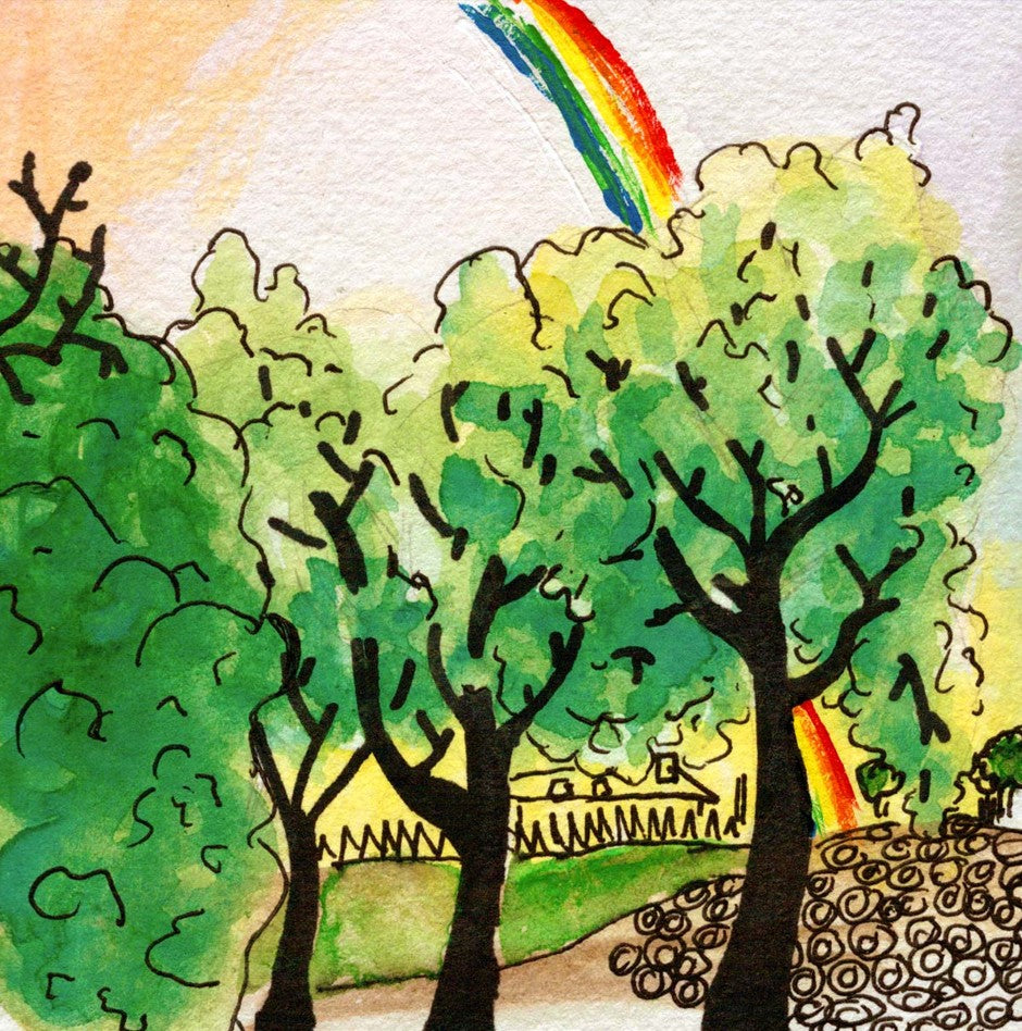 Rainbow over park