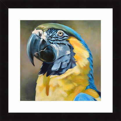 Rainbow Magnetism | Fine Art Print by Hilary Archer
