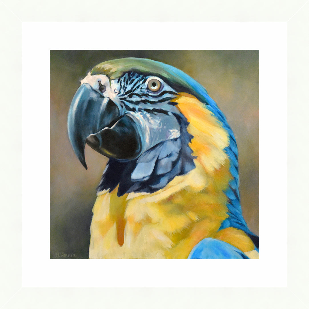 Rainbow Magnetism | Fine Art Print by Hilary Archer