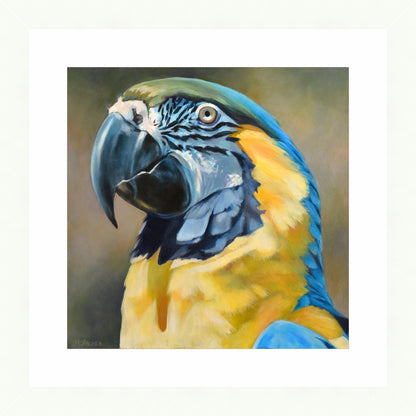 Rainbow Magnetism | Fine Art Print by Hilary Archer
