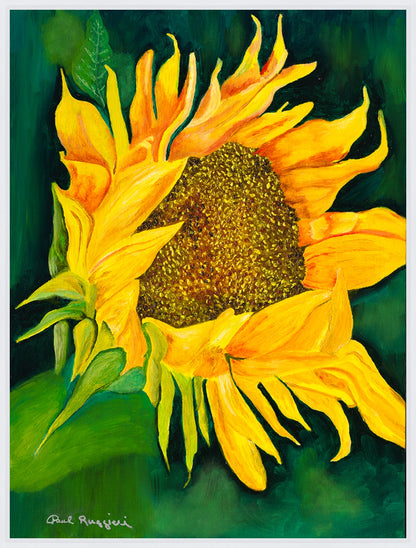 Yellow Sunflower | Fine Art Print by Paul Ruggieri