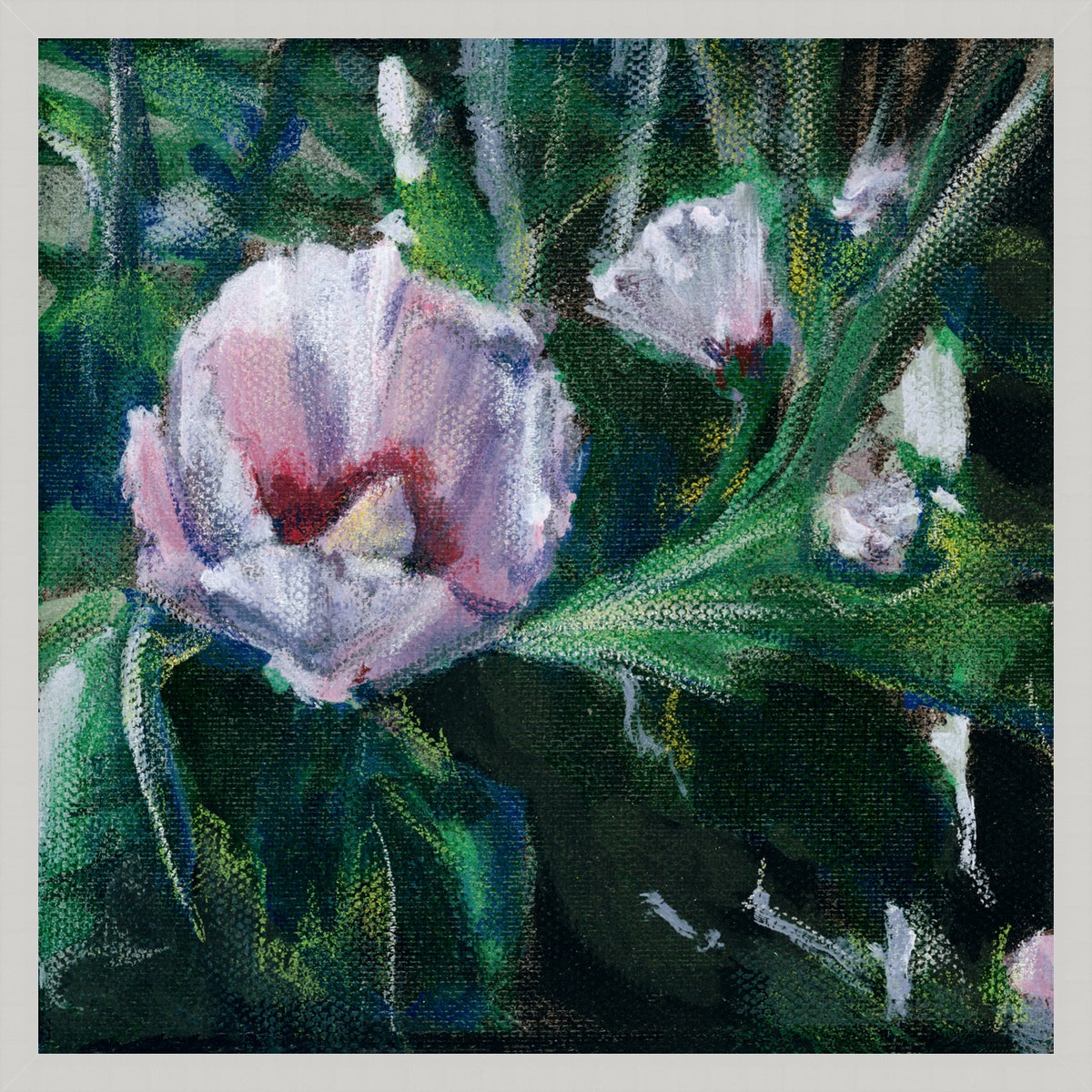 Rose of Sharon | Fine Art Print by Anya Detonnancourt