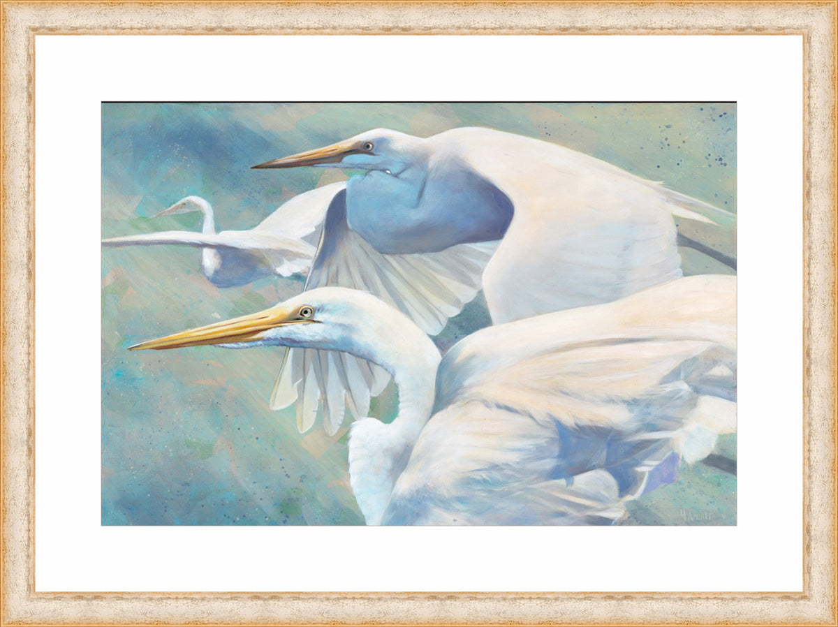 Heron Trio | Fine Art Print by Hilary Archer