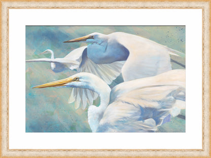 Heron Trio | Fine Art Print by Hilary Archer