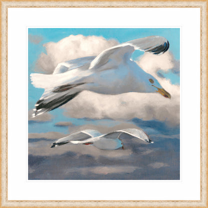 Gulls Over the Bay | Fine Art Print by Hilary Archer