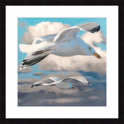 Gulls Over the Bay | Fine Art Print by Hilary Archer