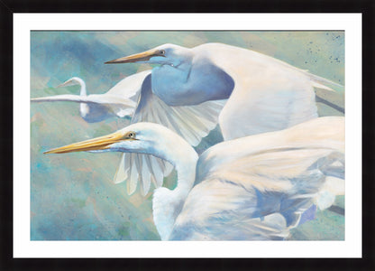 Heron Trio | Fine Art Print by Hilary Archer
