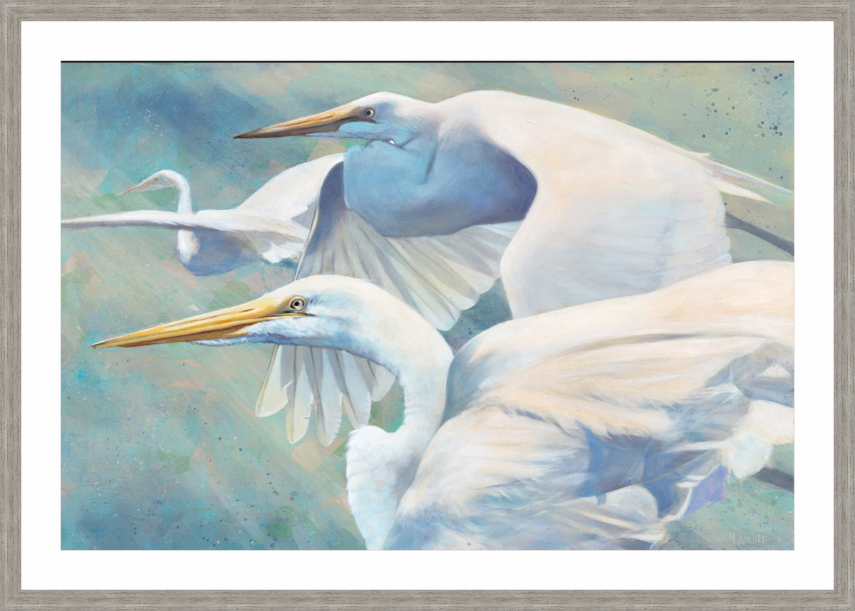 Heron Trio | Fine Art Print by Hilary Archer