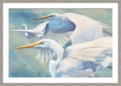 Heron Trio | Fine Art Print by Hilary Archer