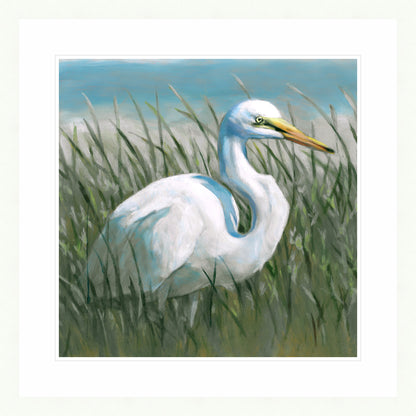 Egret in the Tall Grass | Fine Art Print by Hilary Archer