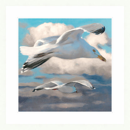 Gulls Over the Bay | Fine Art Print by Hilary Archer