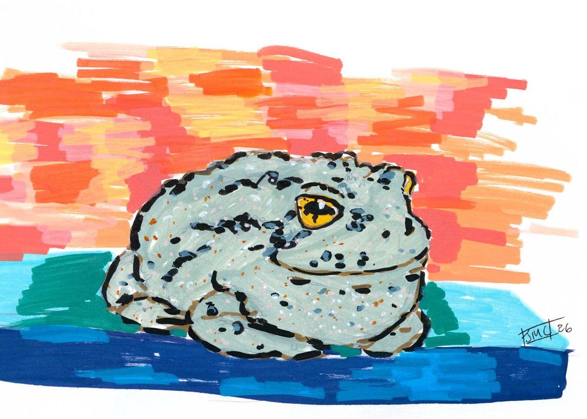Toad sitting on a table