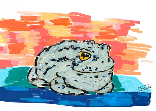 Toad sitting on a table