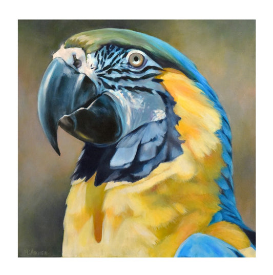 Rainbow Magnetism | Fine Art Print by Hilary Archer