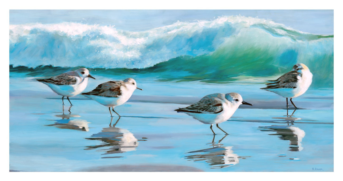 Shoreline Reflections | Fine Art Print by Hilary Archer