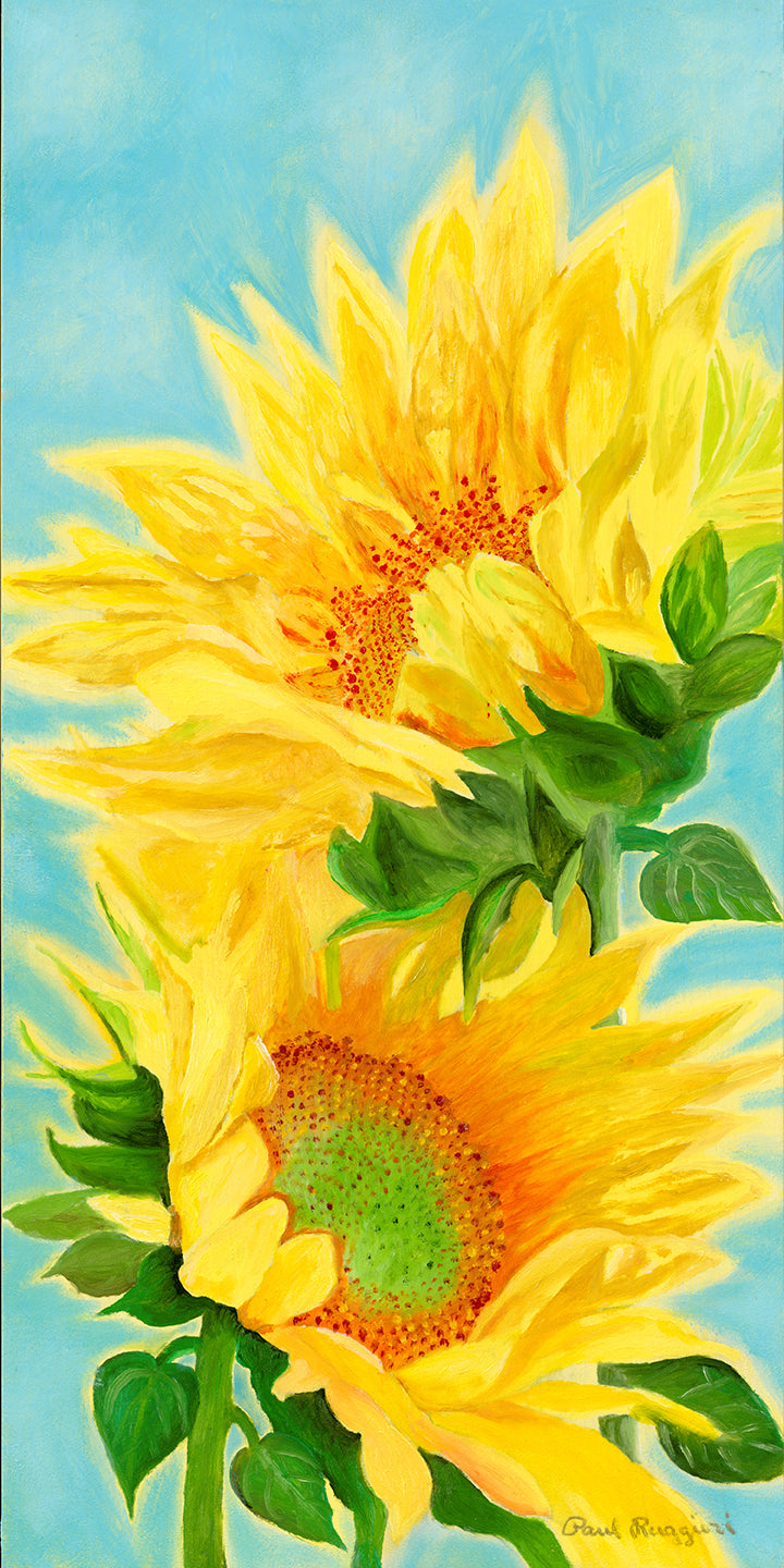 Two Sunflowers | Fine Art Print by Paul Ruggieri