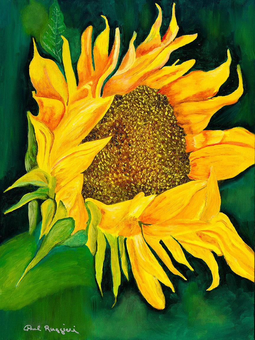 Yellow Sunflower | Fine Art Print by Paul Ruggieri